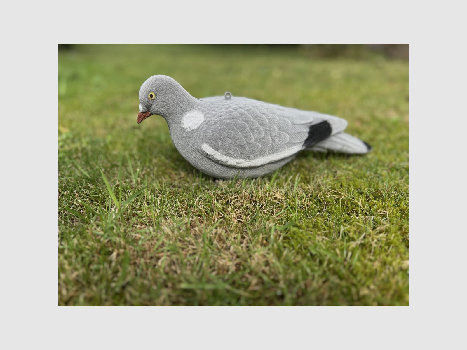 LOCKTAUBE Full Body CLASSIC flocked