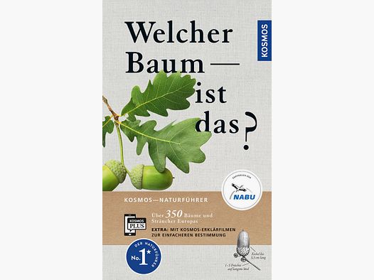Kosmos Welcher Baum ist das? Spohn
