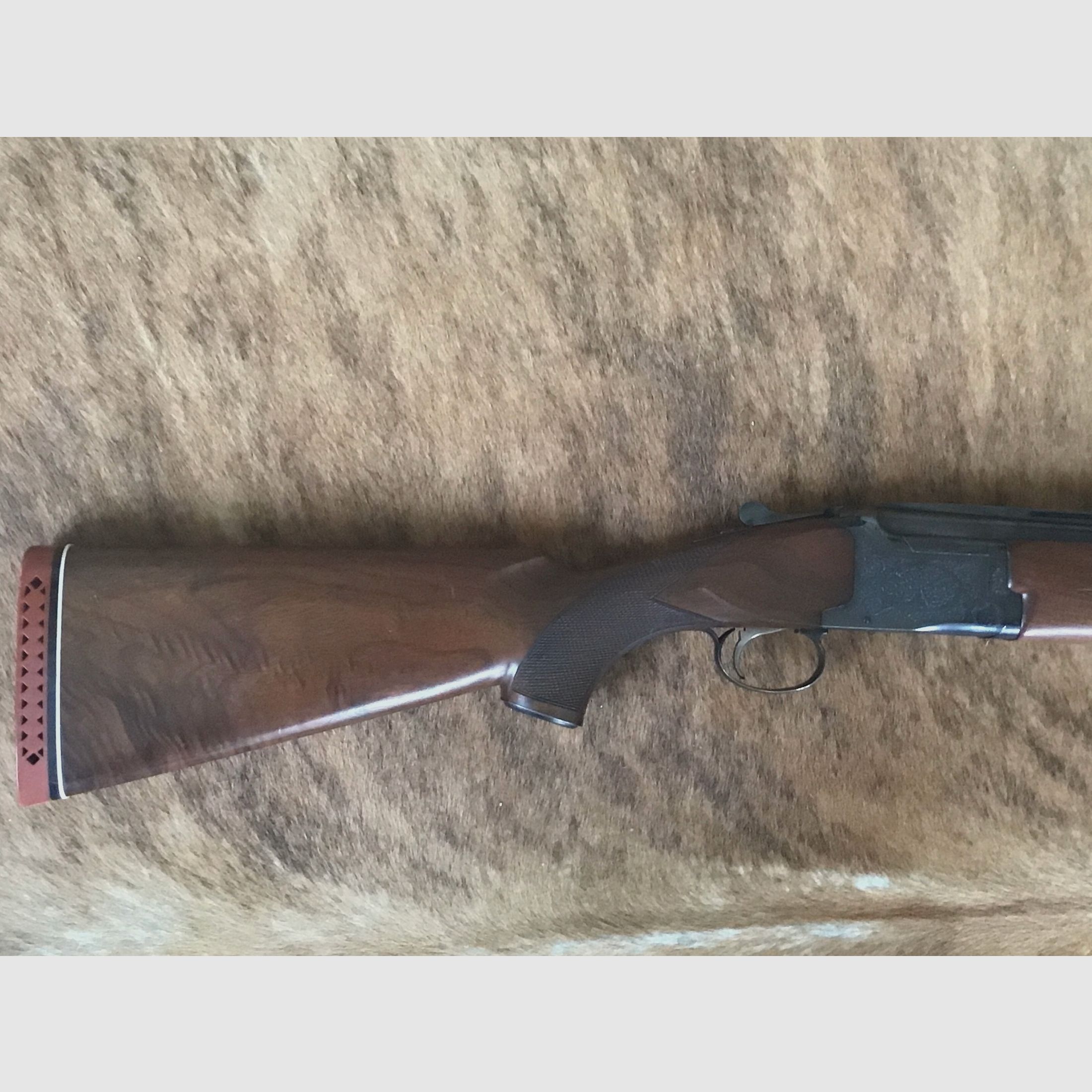 Winchester Mod. 101 