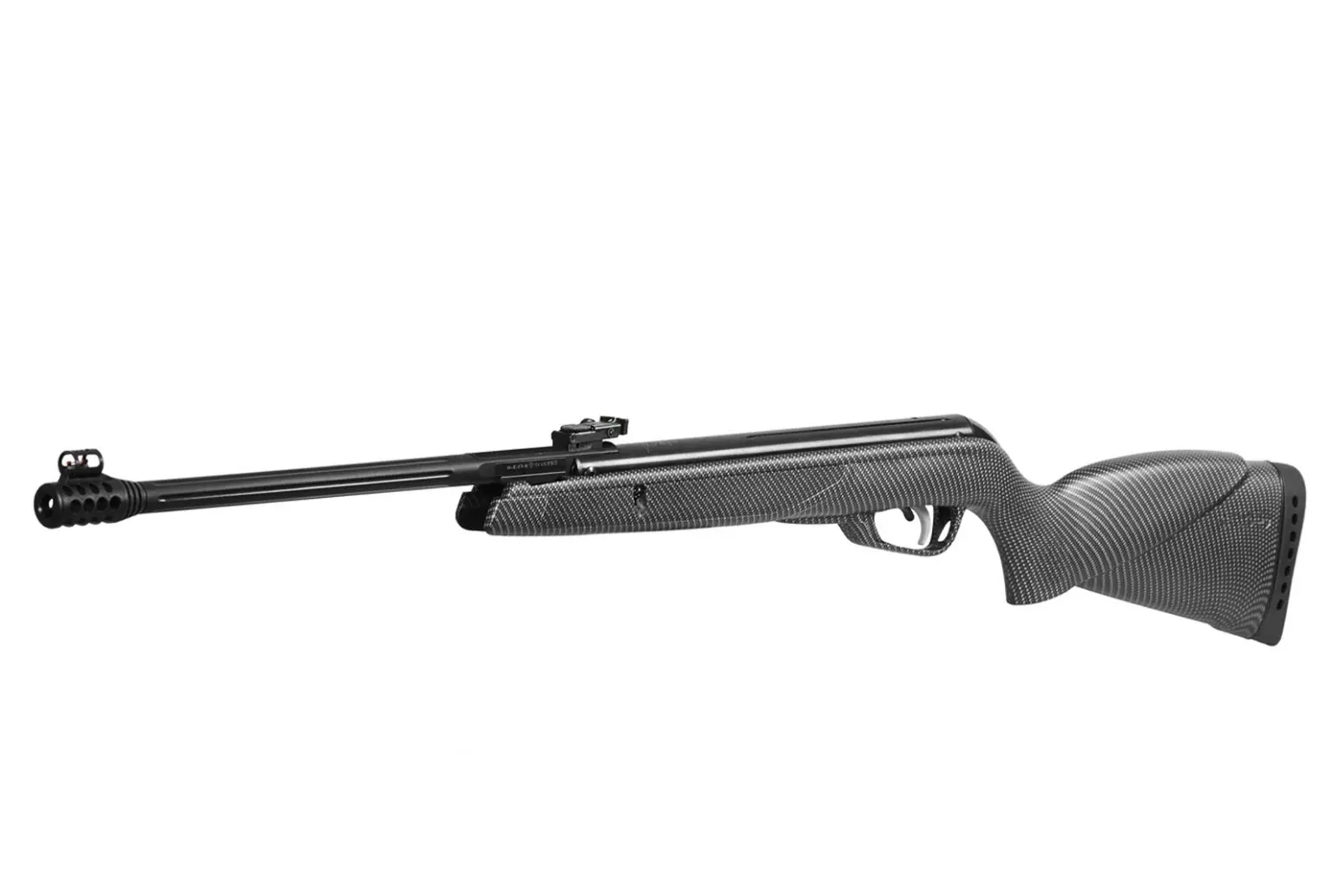Gamo Black Bear IGT