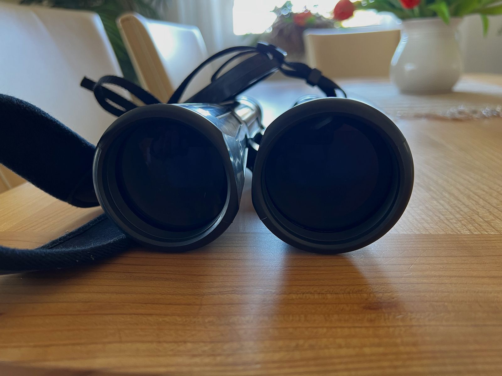 Zeiss Dialyt  8X56  verrekijker