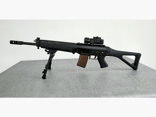 Sig Sport 551