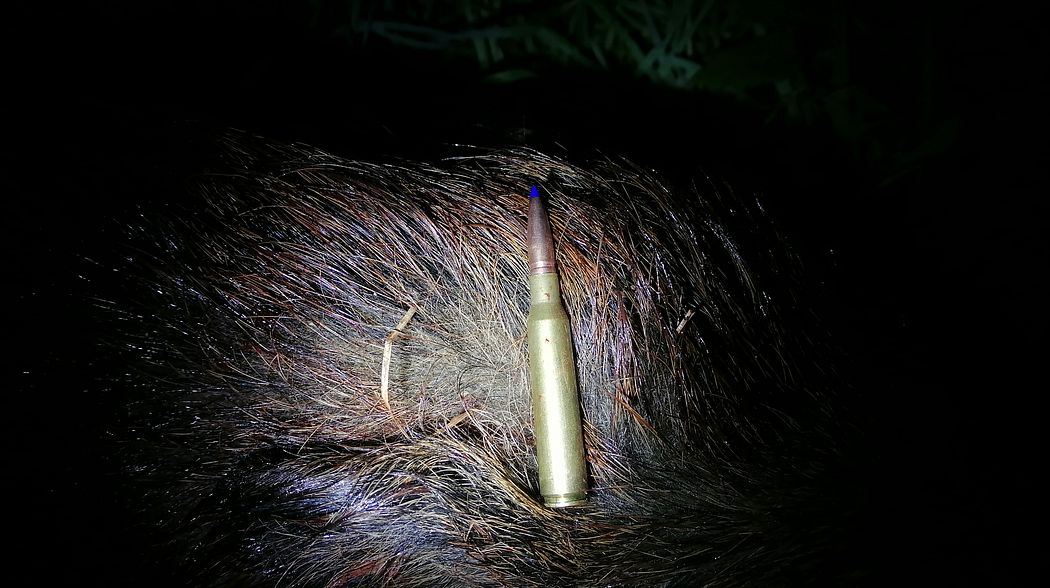 6,5x57 die verstaubte Alleskönnerin 