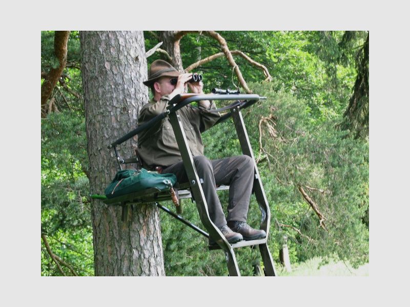Sedia da Albero Universale in Alluminio, immagine 4 di 6
