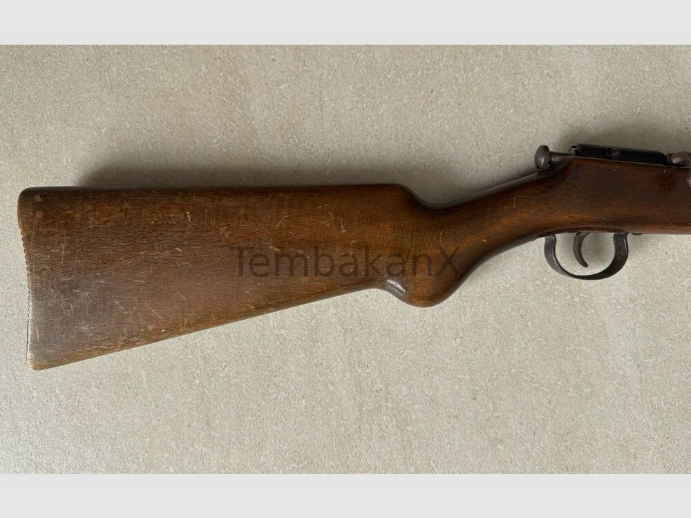 Anschütz .22lr