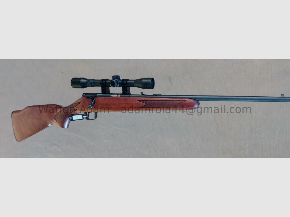 Lakefield Arms LTD, Canada MK I, 22 Cal. S.L.L.R.