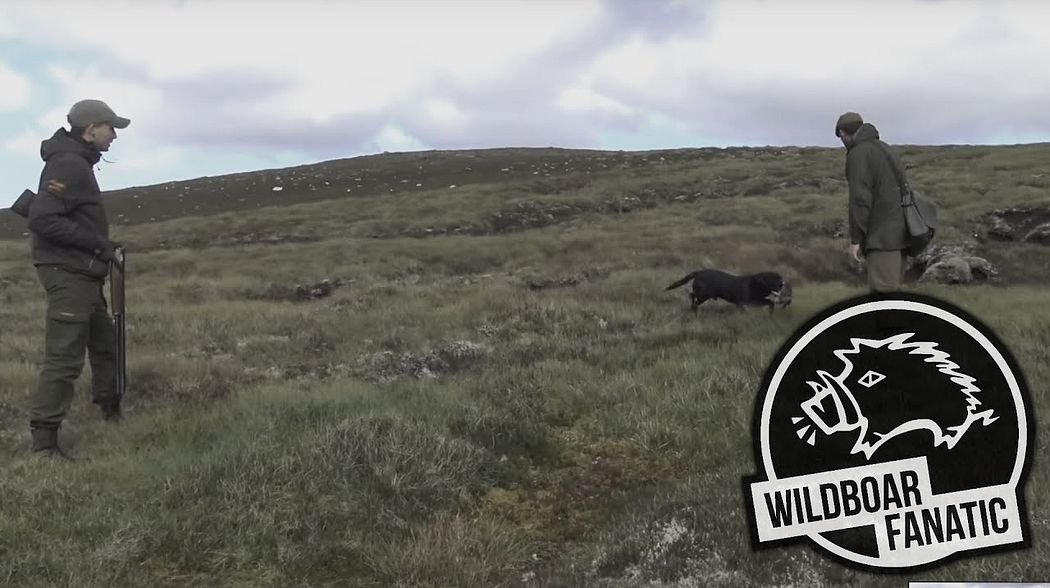 Flintenjagd in den Highlands von Schottland