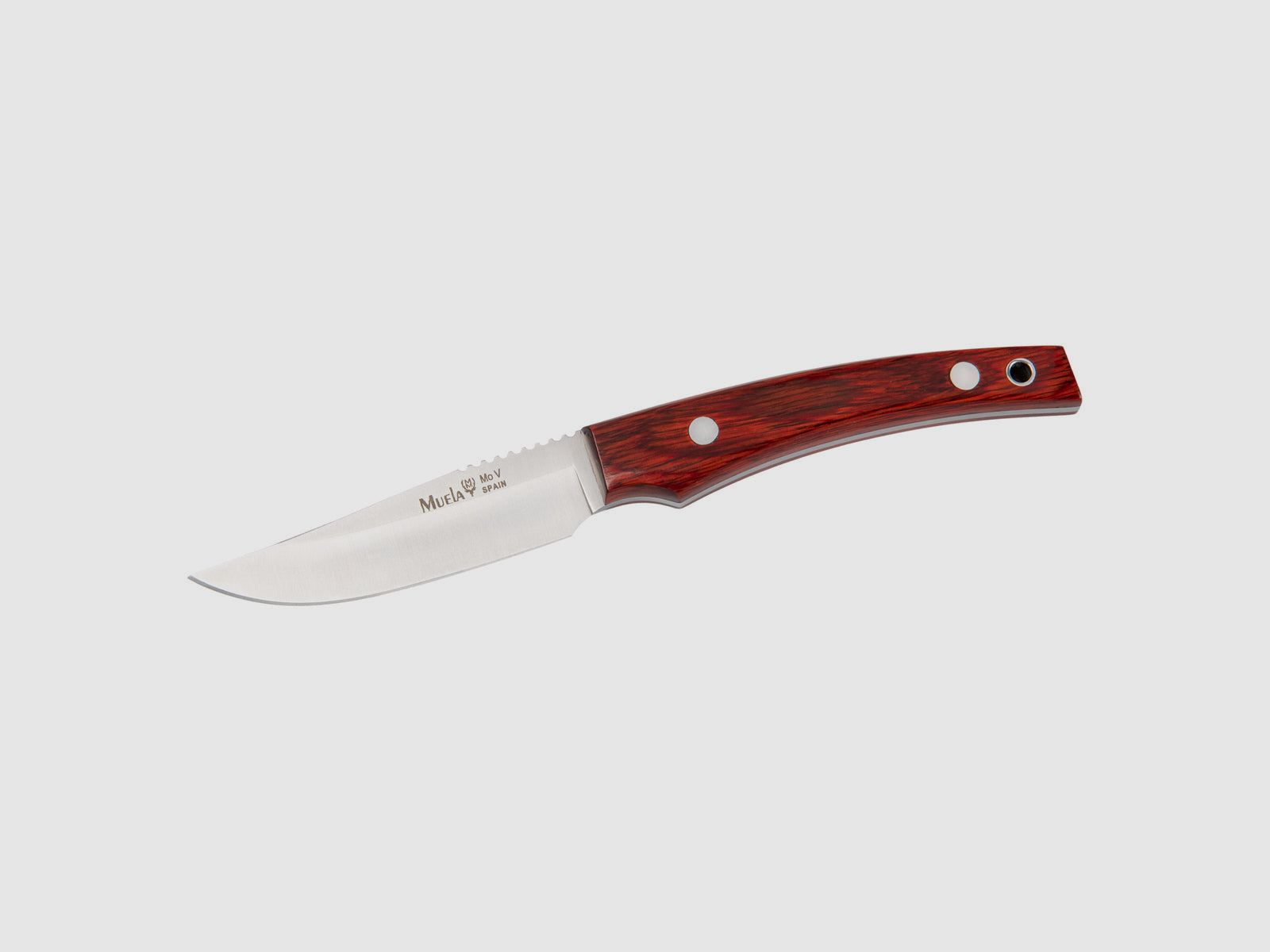 Muela LM-8 Messer für Camping und Abenteuer