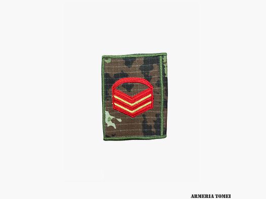 ARMY – TUBULARS FOR CAMOUFLAGE CAPORAL MAGGIORE CAPO SCELTO COL. VEGETATO