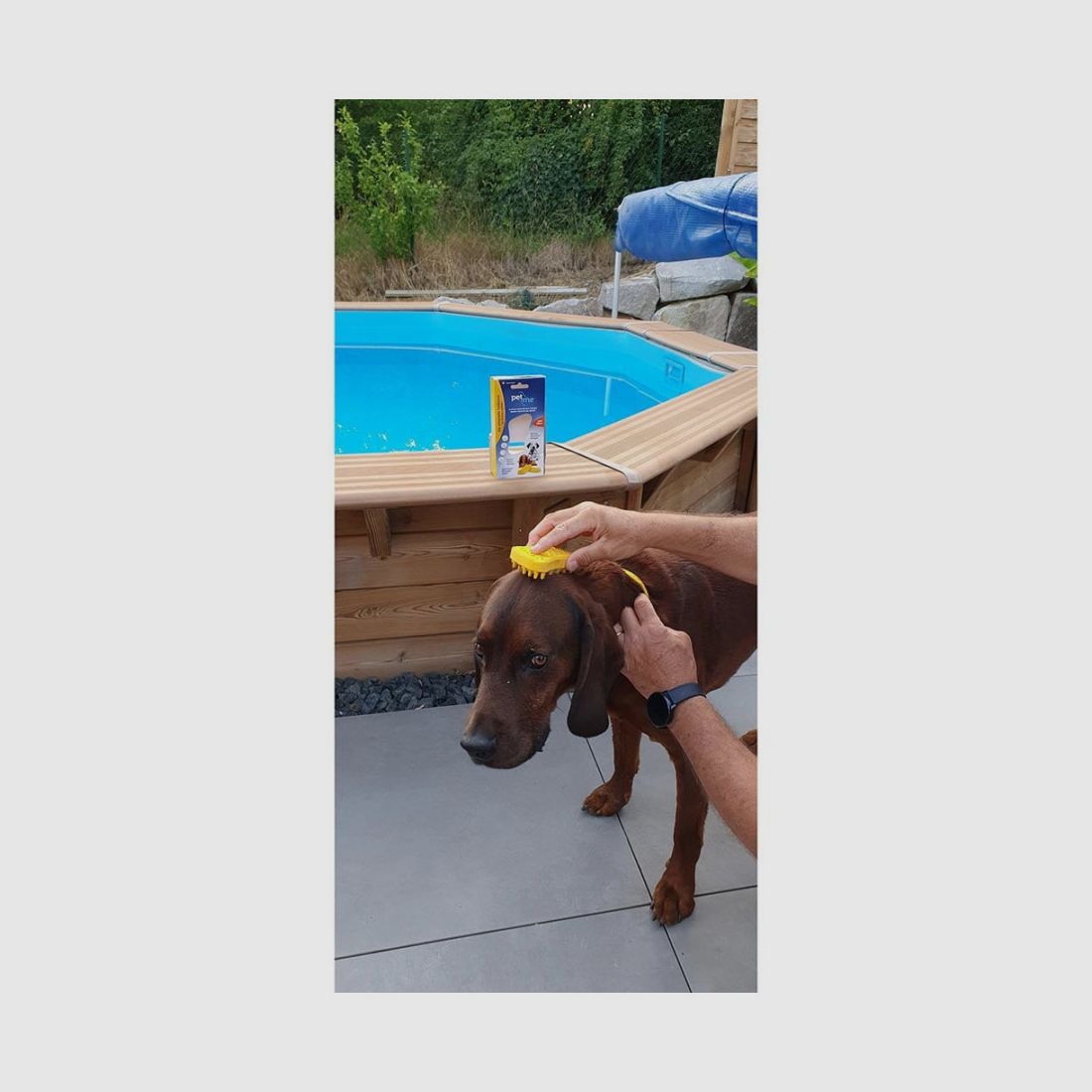 Bürste für große Hunde mit kurzem Haar PETME, Bild 10 von 10
