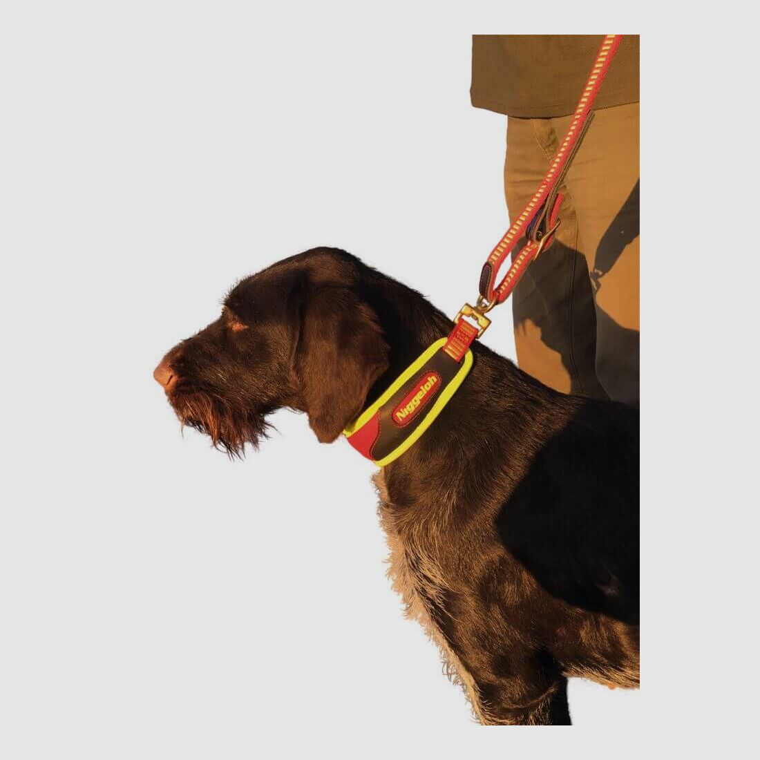 Niggeloh Szyja Trail