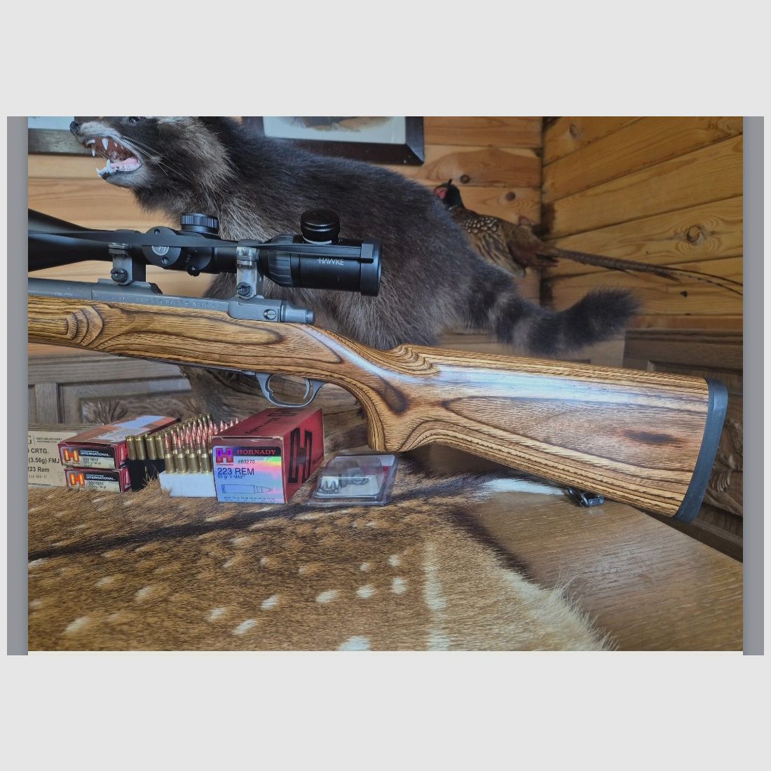 Ruger M77 MK2 VT Varmint/Target SS 223 REM in very good condition Harris Ultra Light bipod, image 2 of 10