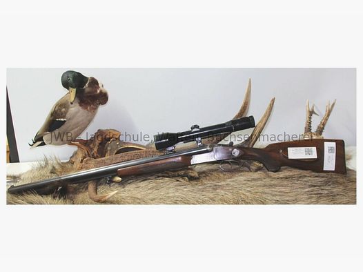 Drilling Sauer & Sohn 3000 with long-barreled ESL 6.5x57R; 16/70; 16/70