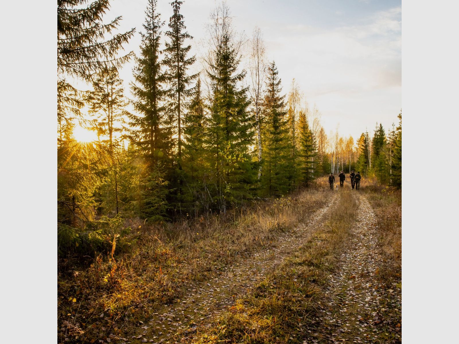 FJÄLLRÄVEN FODERO PER FUCILE Verde Scuro