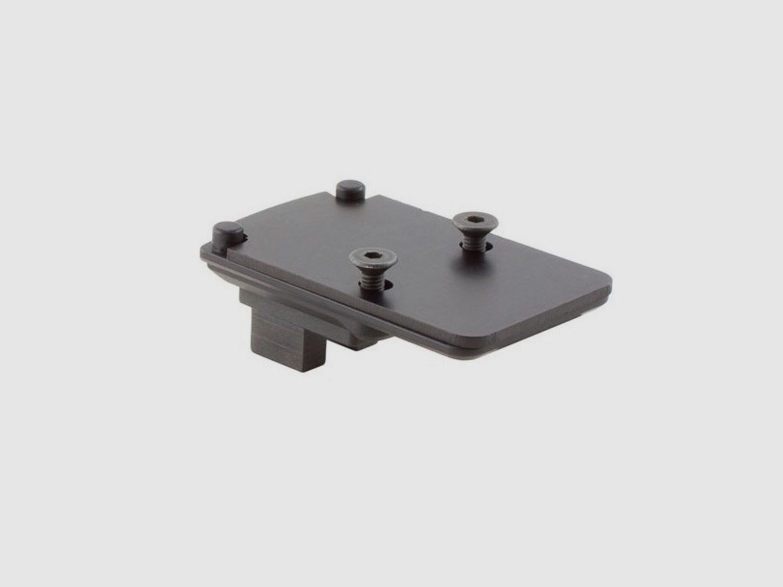 Trijicon RMR/SRO Mount Custom Rifle