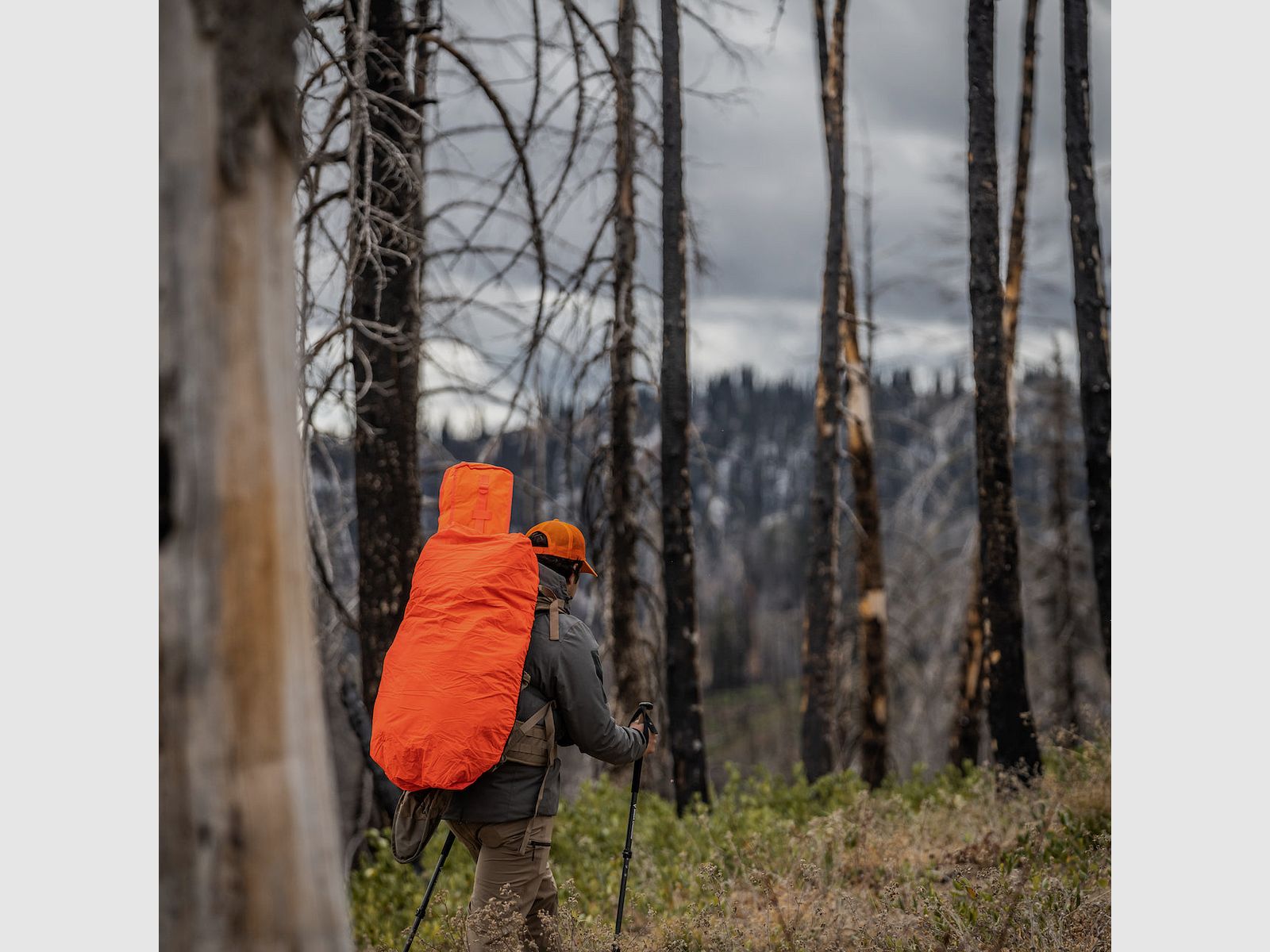 Eberlestock Housse de pluie pour sac à dos Petite réversible - Mountain / Blaze Orange, image 2 sur 2