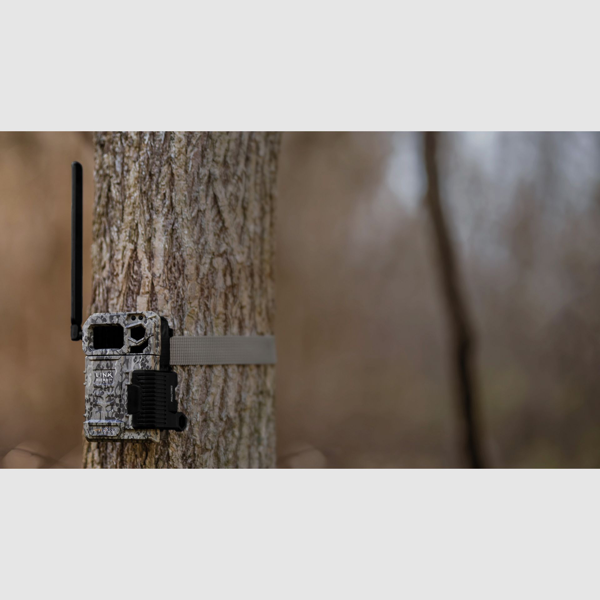 SpyPoint Wildkamera