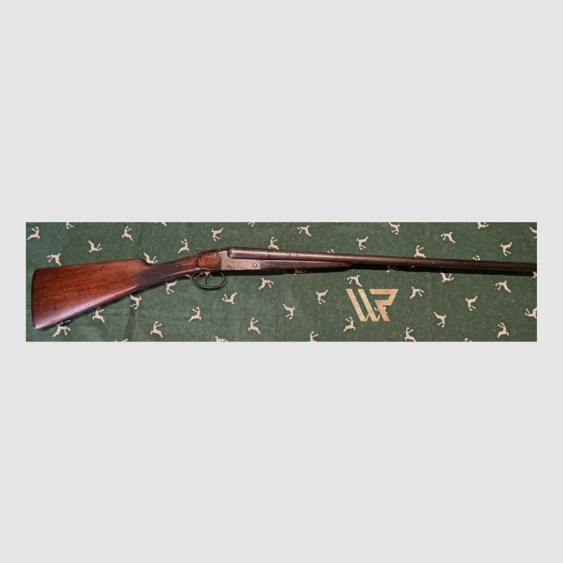 Fosil Robust Brevek - 12/65
