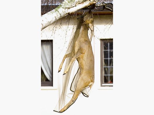 Filet de protection contre les mouches Fritzmann pour cerfs 170x110cm