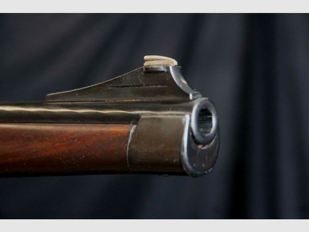 Steyr Mannlicher Stutzen M with Dentler mount