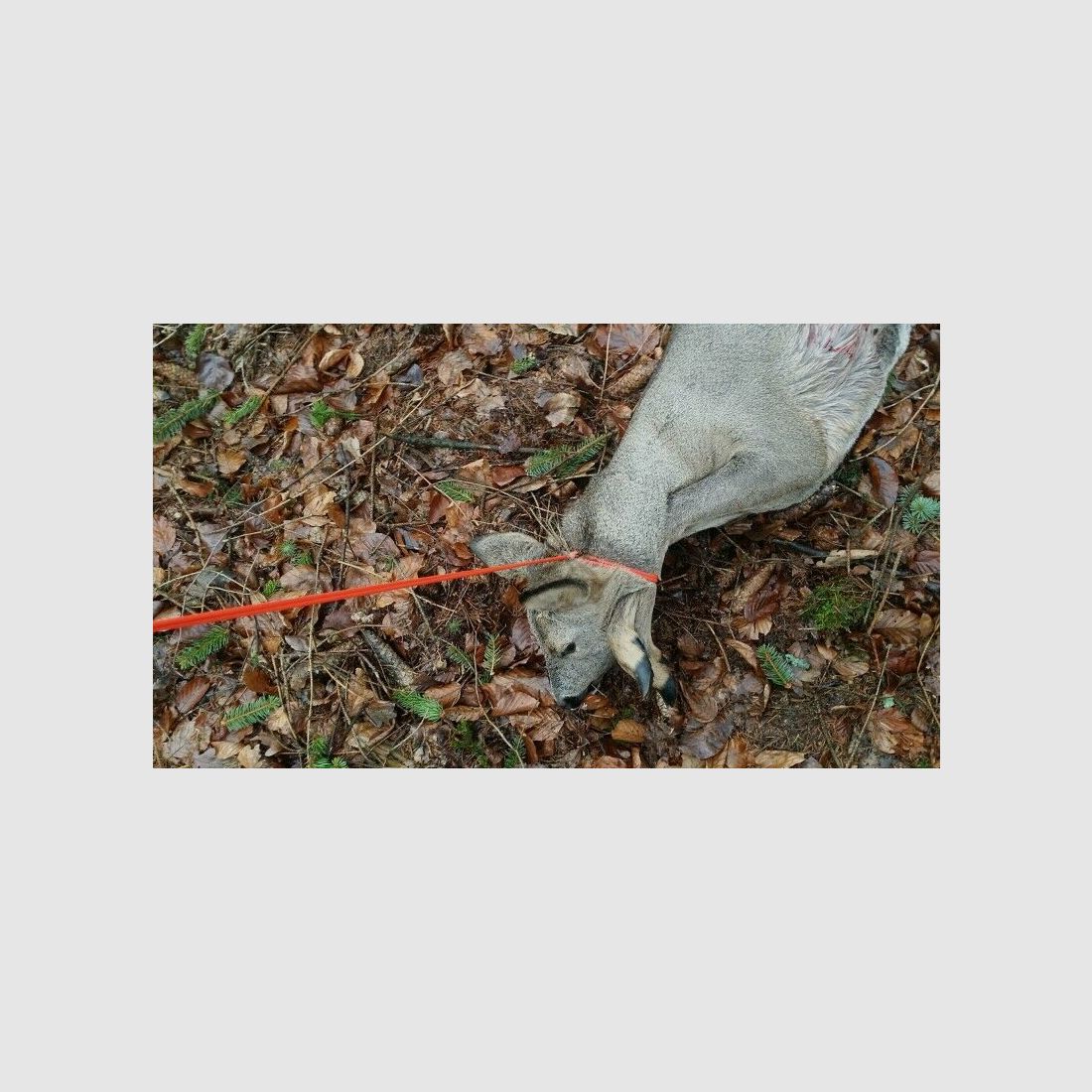 KEILER GEAR Wild Bergegriff