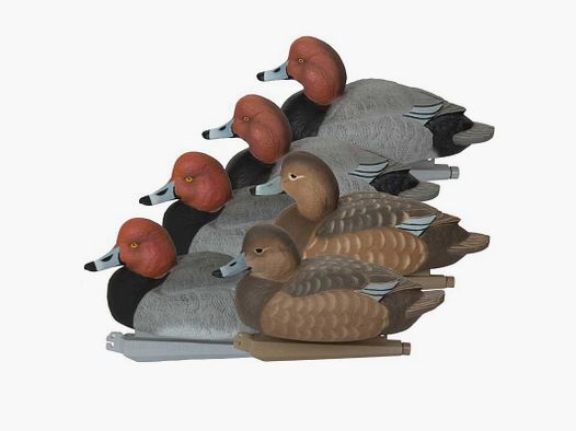 KIT 6 mallen Moriglione GHG Pro Grade Schuimgevulde Roodkop Decoys