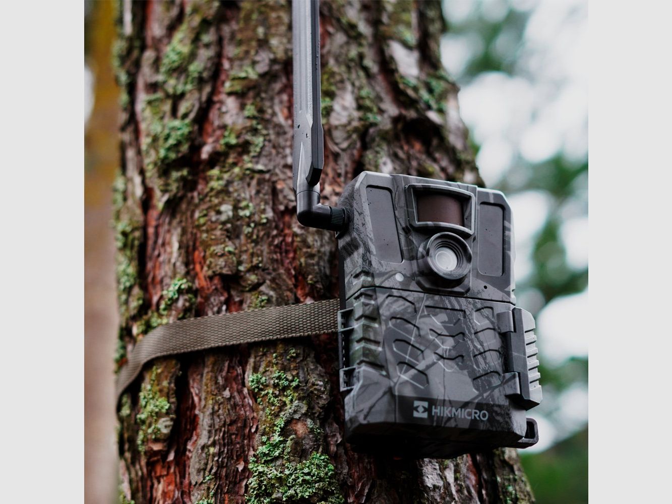 Fotofalle M15 4G IR 940 nm HIKMICRO, Bild 2 von 3