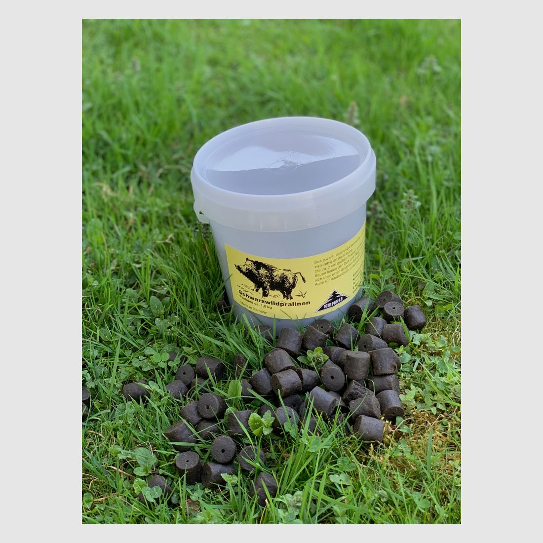 Schwarzwildpralinen