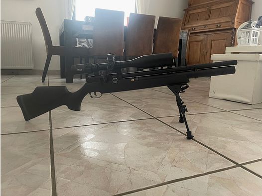 Je vends mon fusil FX Dreamline.