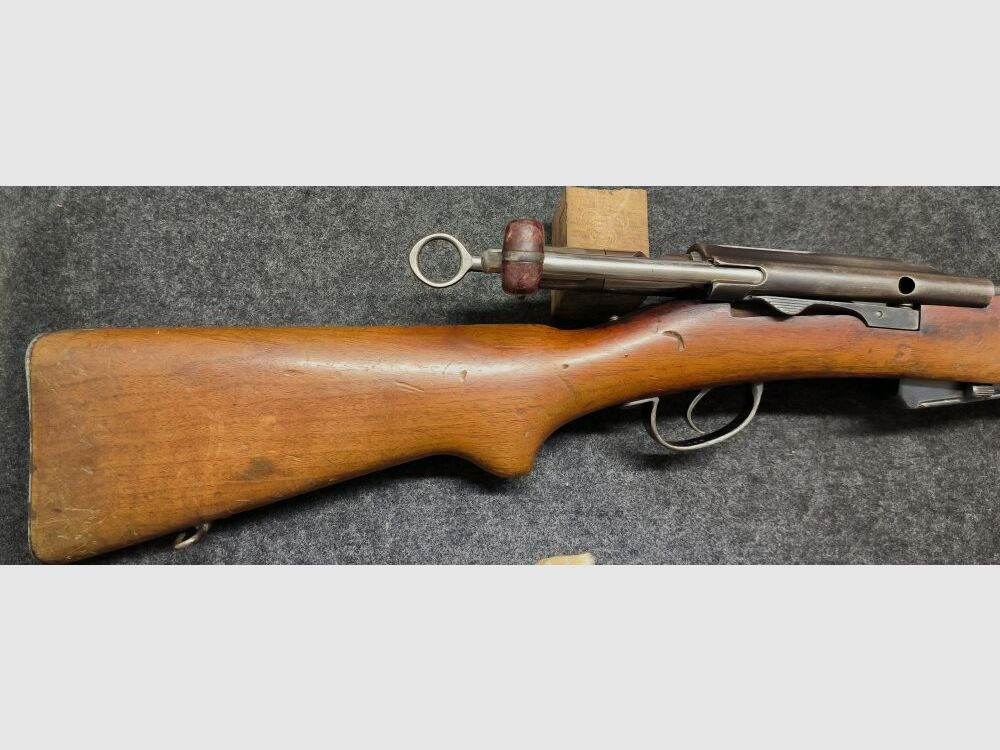 Schmidt Rubin G11