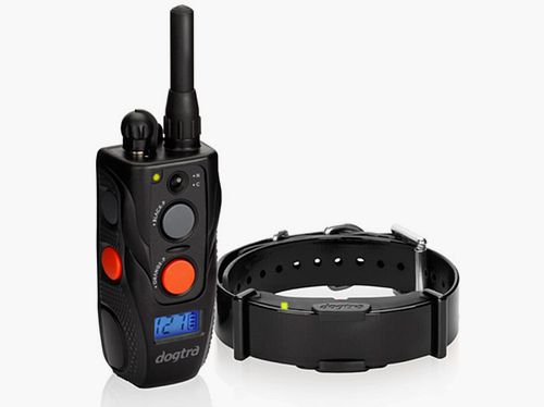 DOGTRA ARC 800 Ferntrainer