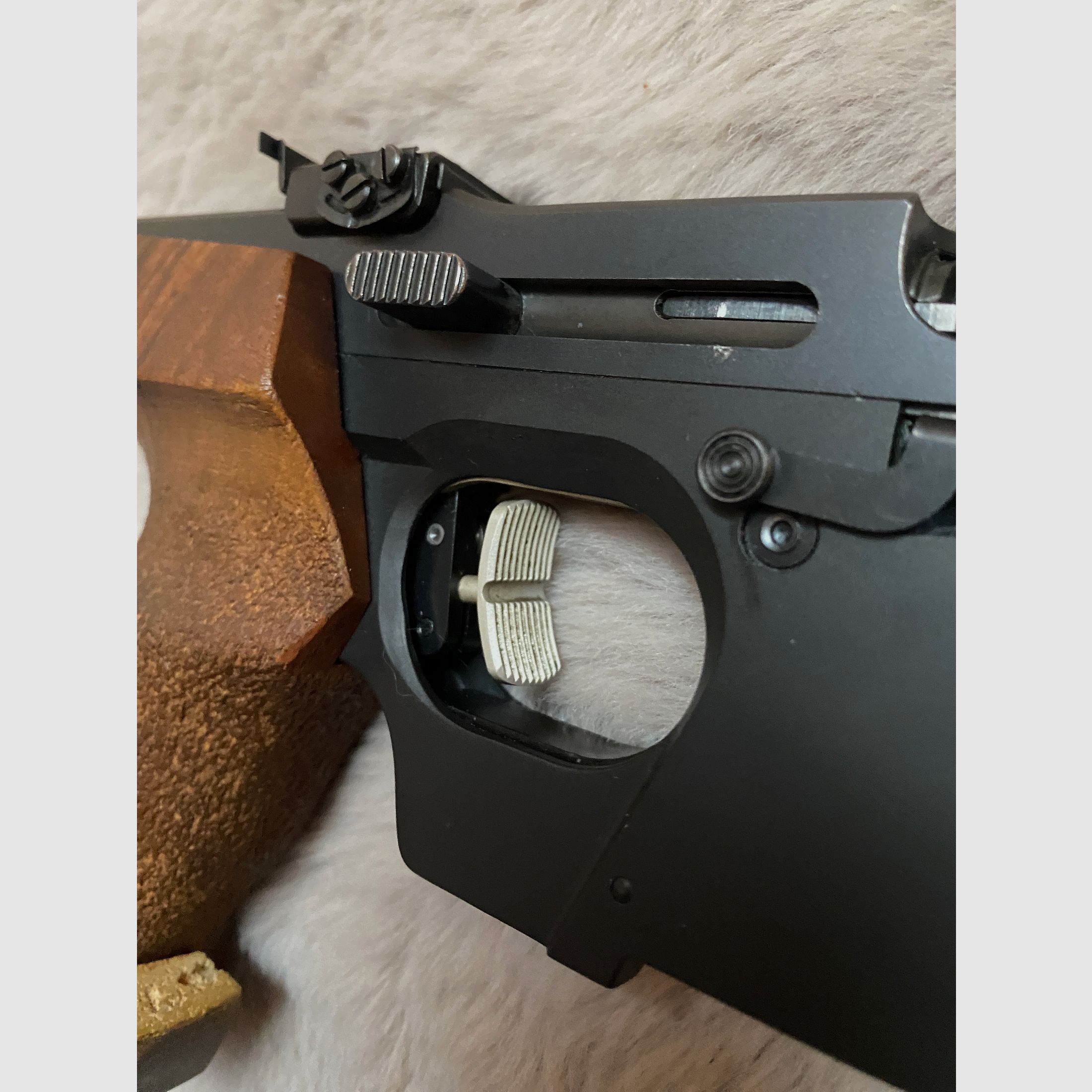 Walther GSP