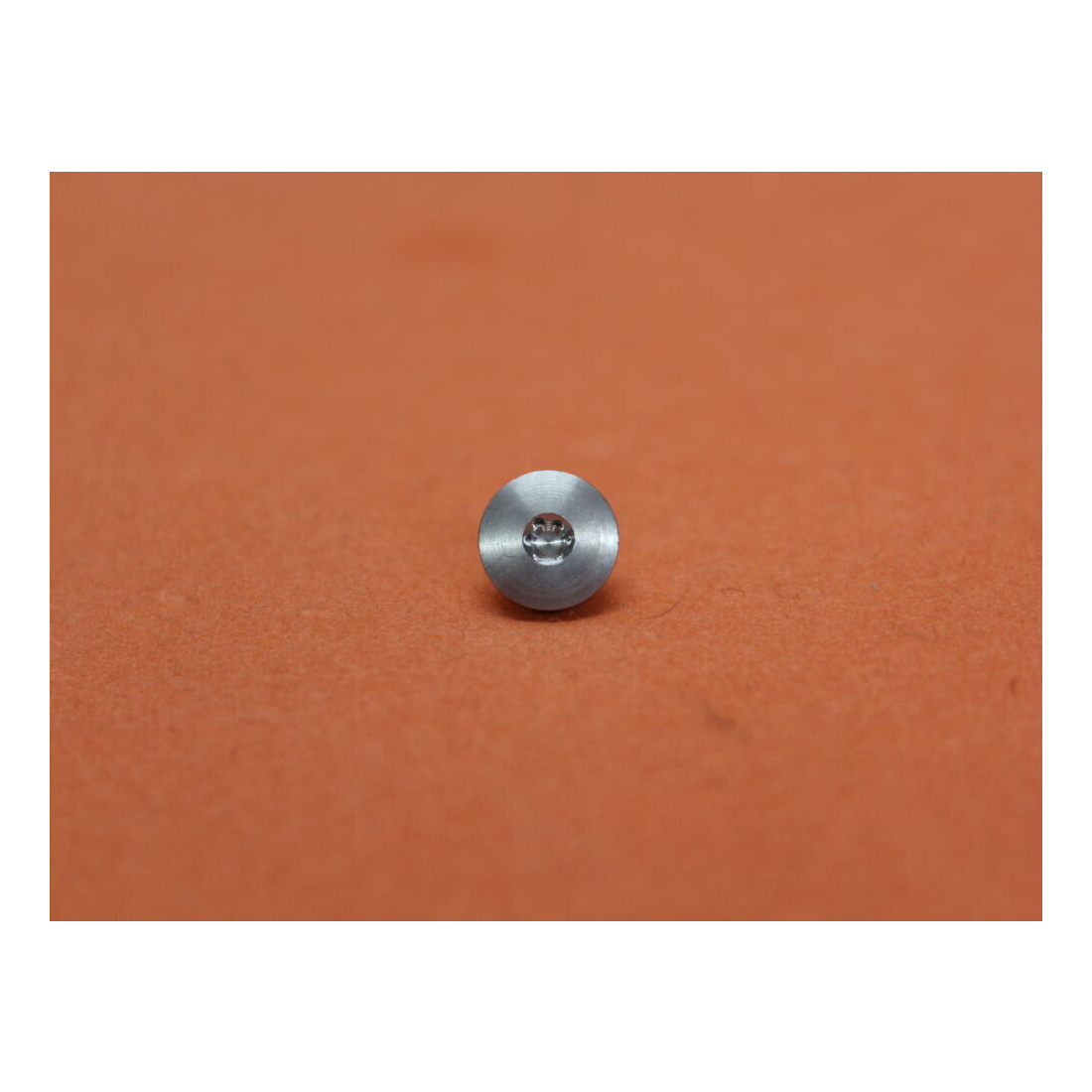 SIG Sauer	 SIG Sauer X-LINE: 1 Stück Griffschalenschraube Torx silbern NIRO (70001450)