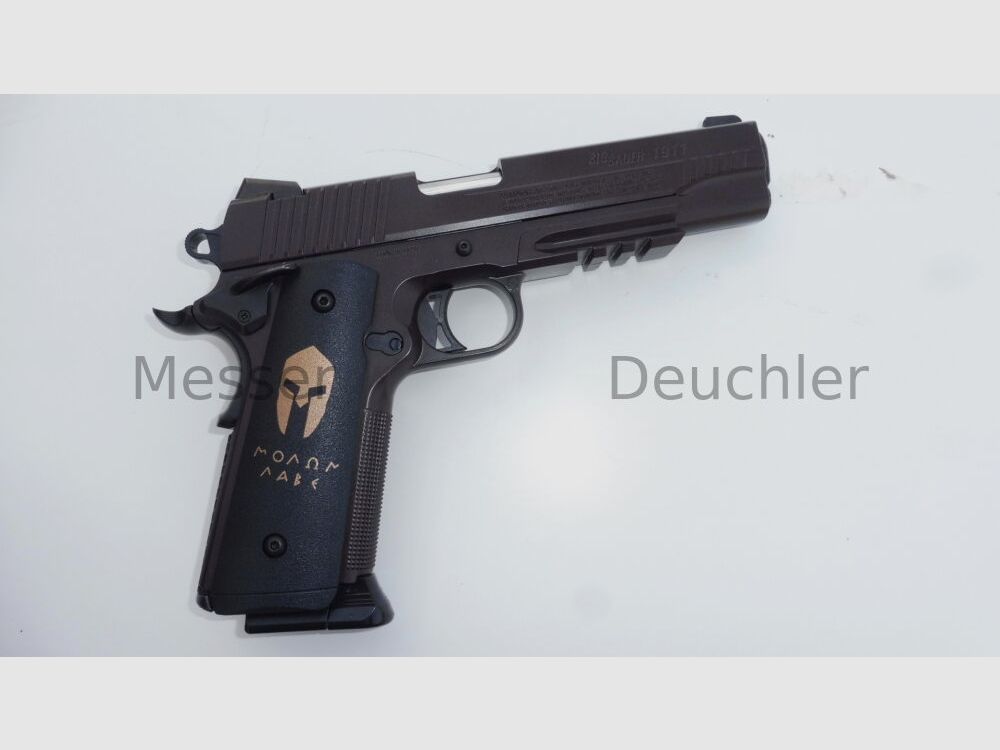 Sig Sauer 1911 Spartan