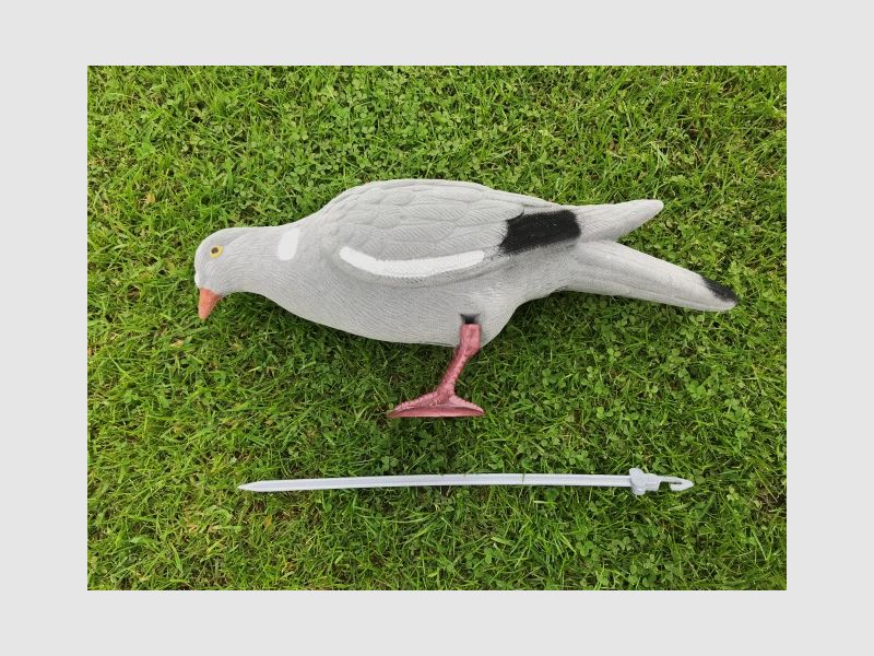 Lockmittel – Beflockte Vollkörpertaube