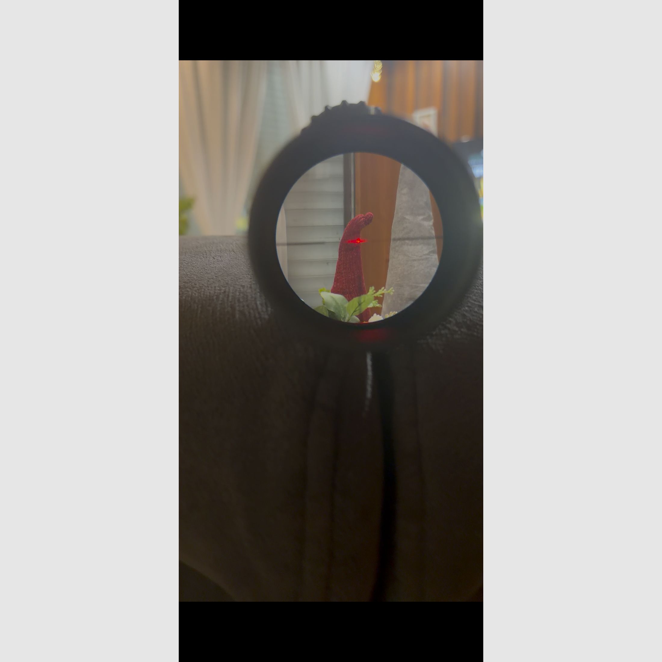 Steiner Ranger 3-12x56