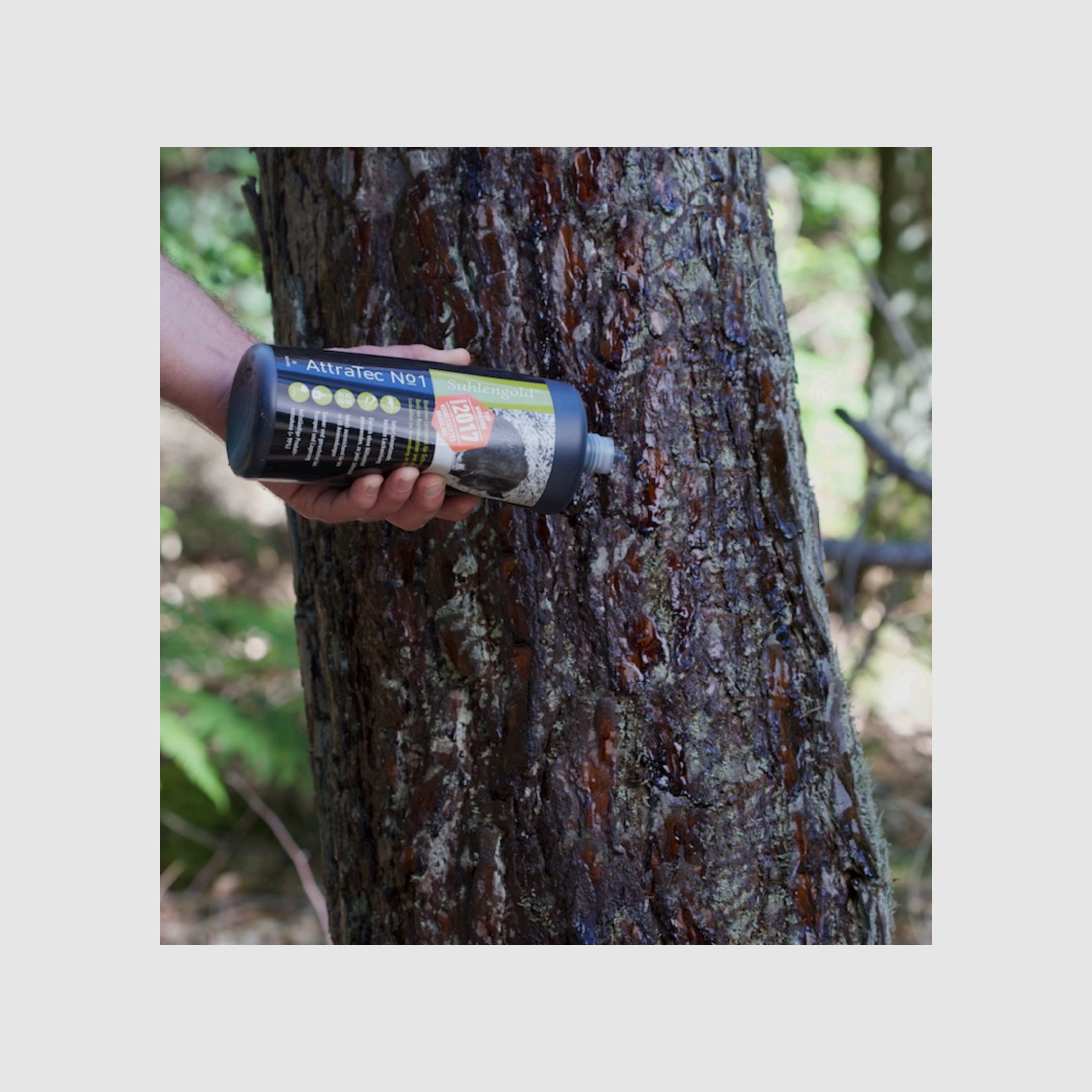 AttraTec No 1 Suhlengold®, v. 17, 1 kg