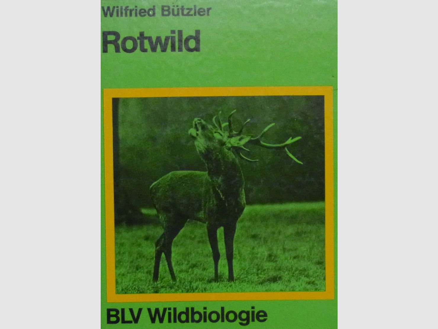 Buch Rotwild