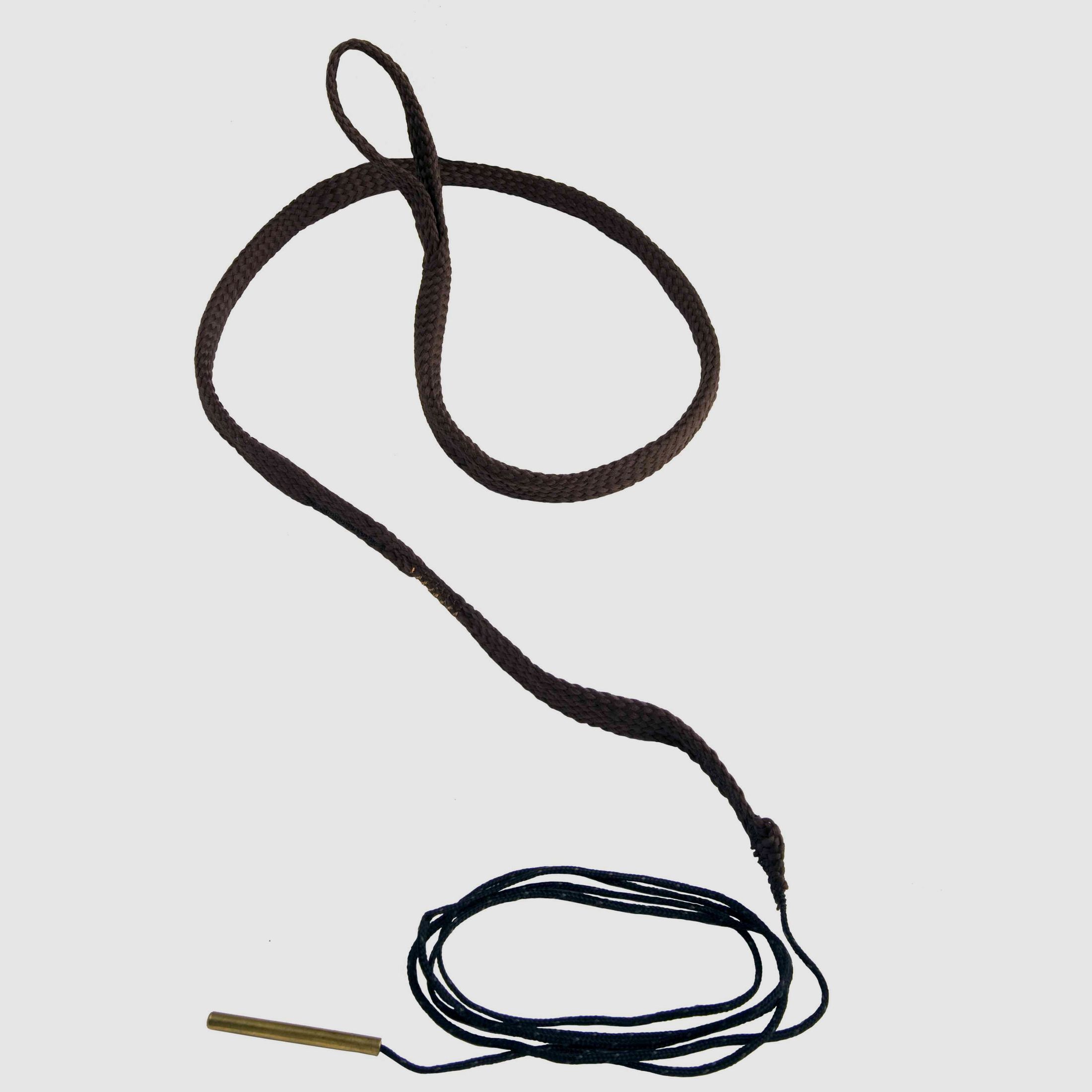 Boresnake, .17 Kaliber Centerfire, .17Hmr, Geweer