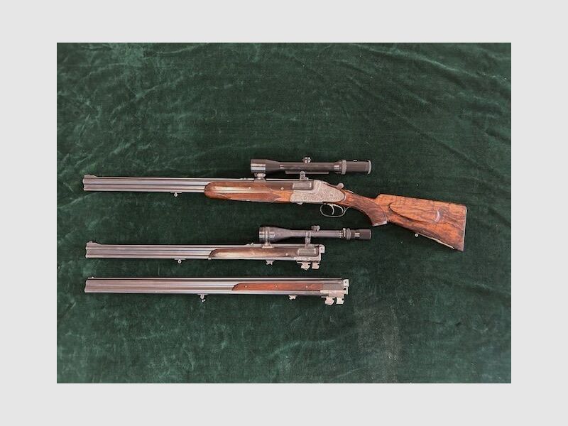 Merkel 313 E