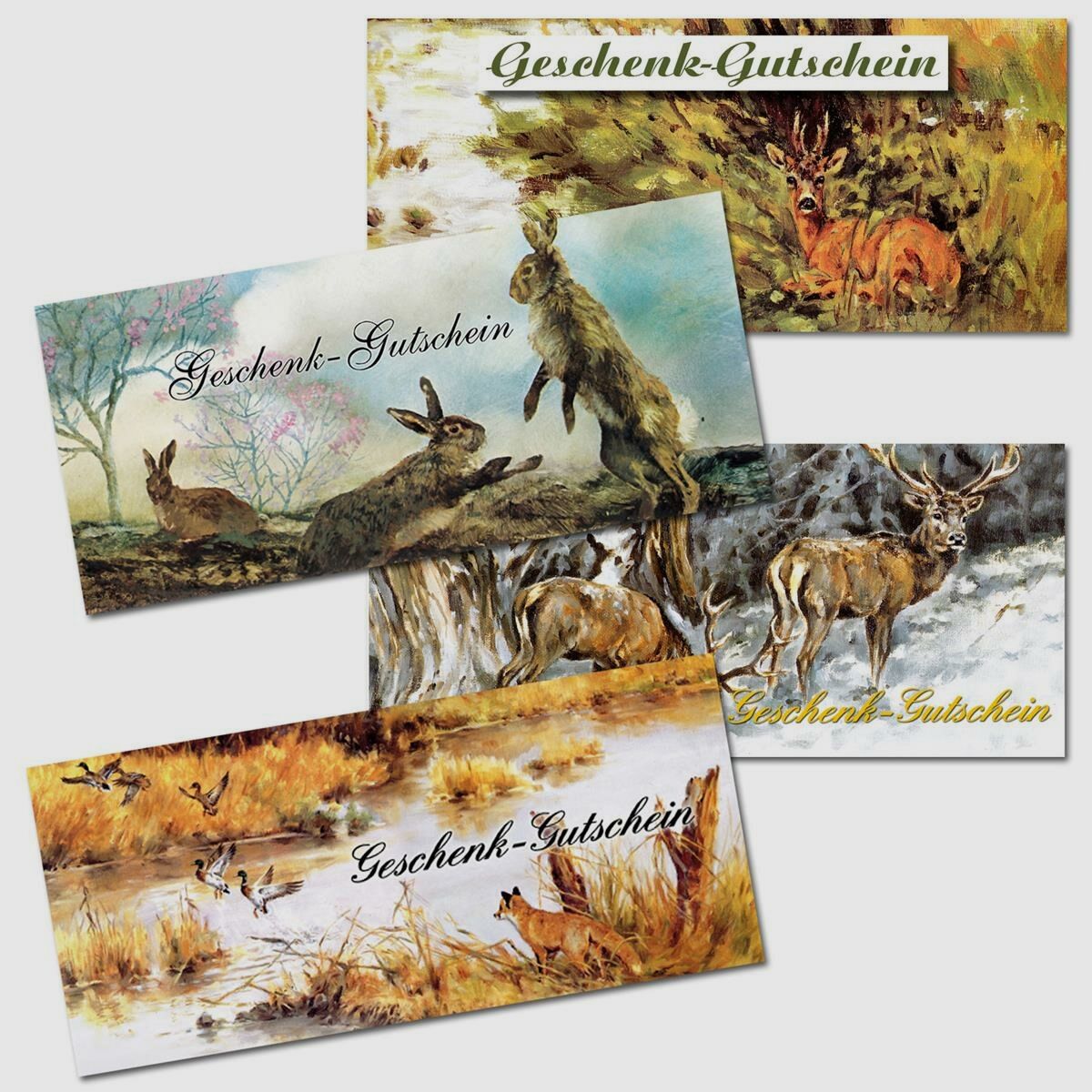 Geschenkgutscheine 8 Stck