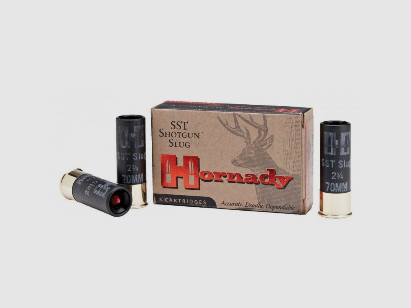 12/70 Hornady CUSTOM LITE® 300 gr FTX® VE5