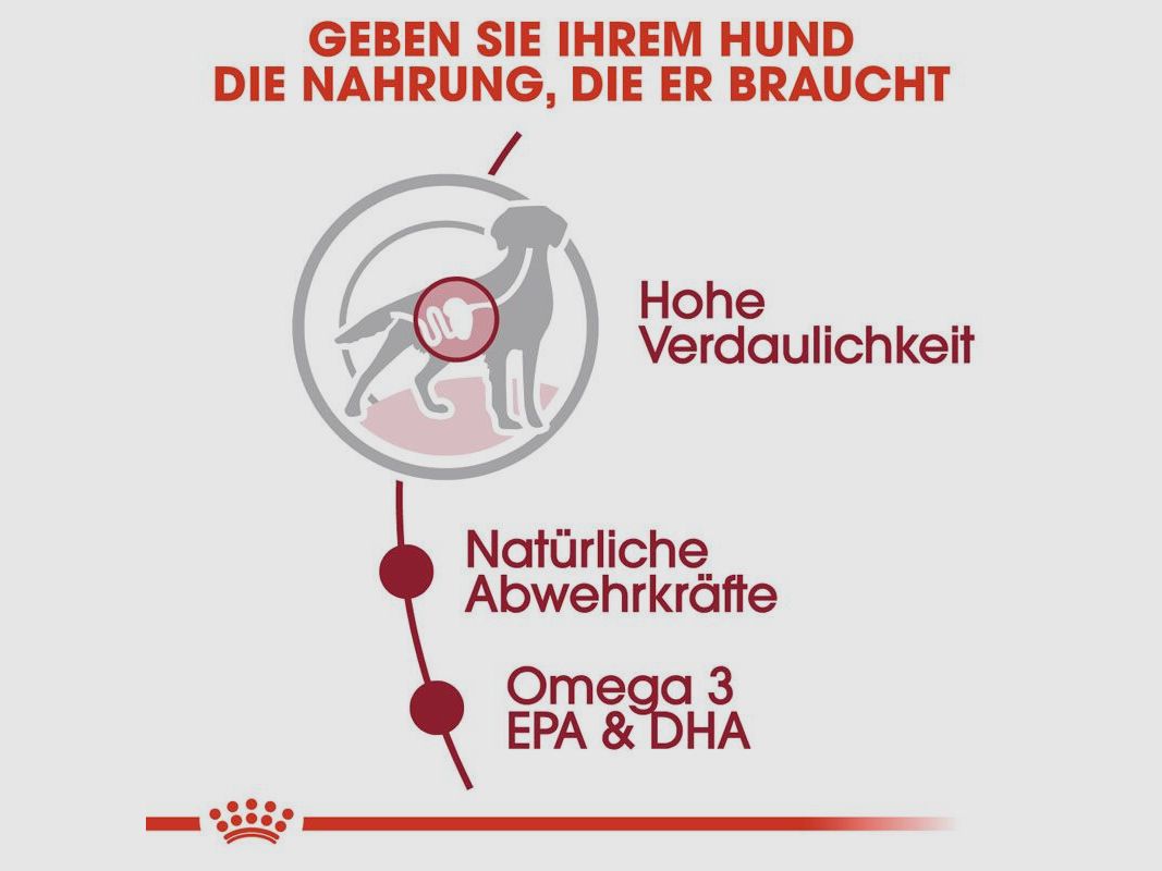 ROYAL CANIN Mittelgroße Hunde Nassfutter Medium Adult 10x140 g