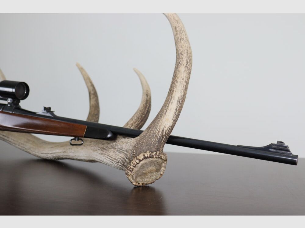 Kettner M98