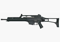 Heckler & Koch HK243​ .223Rem Halbautomatische Büchse