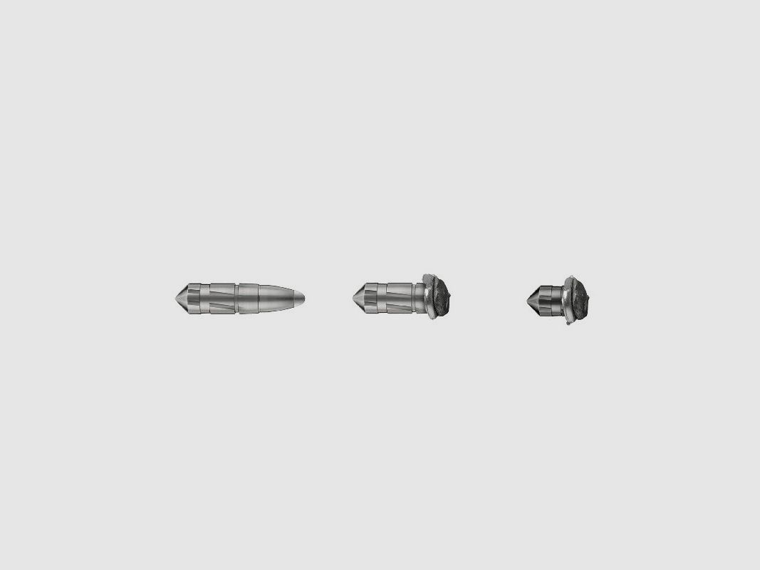 RWS 30-06 Sprg. UNI Classic 181grs, immagine 2 di 2