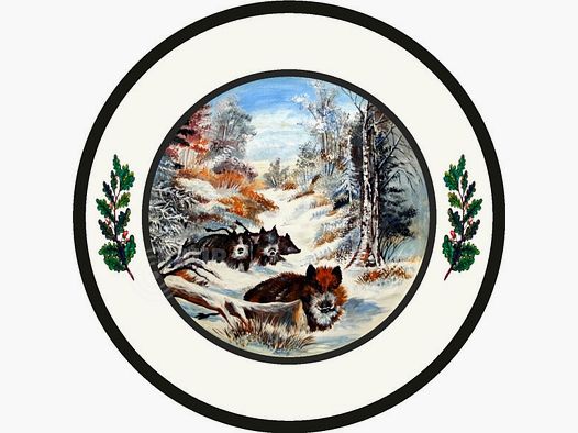 Schützenscheibe Outdoor-Line Motiv 162