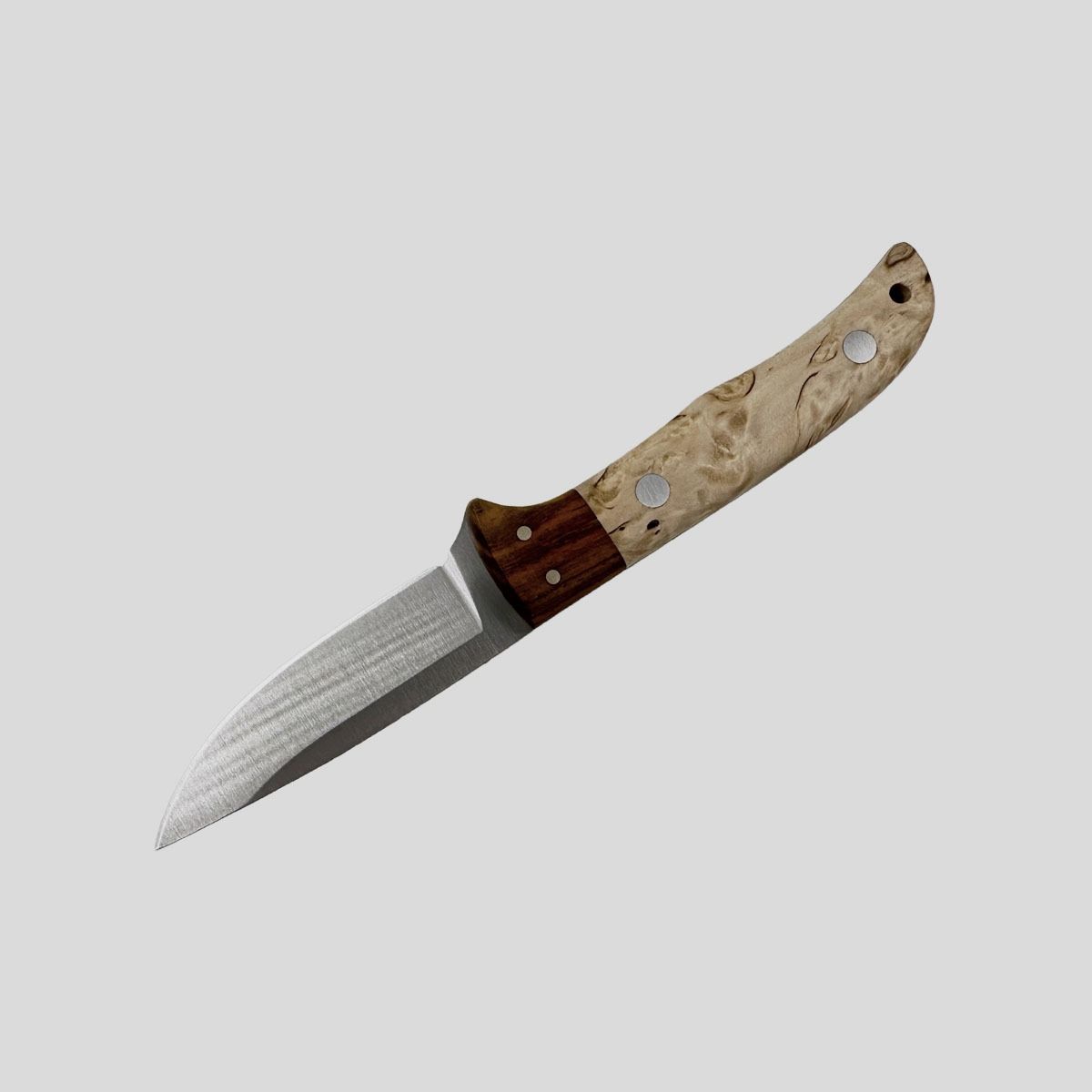 Miguel Nieto – Coyote Curly Birch 1059, Bild 2 von 3