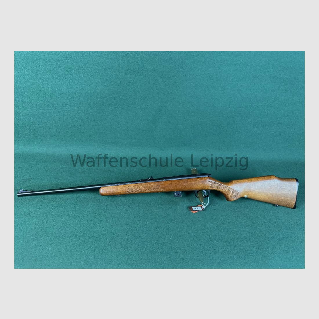 Marlin 25N