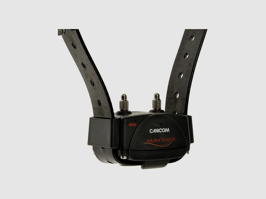 CANICOM 1500 - NUM'AXES, image 2 of 2